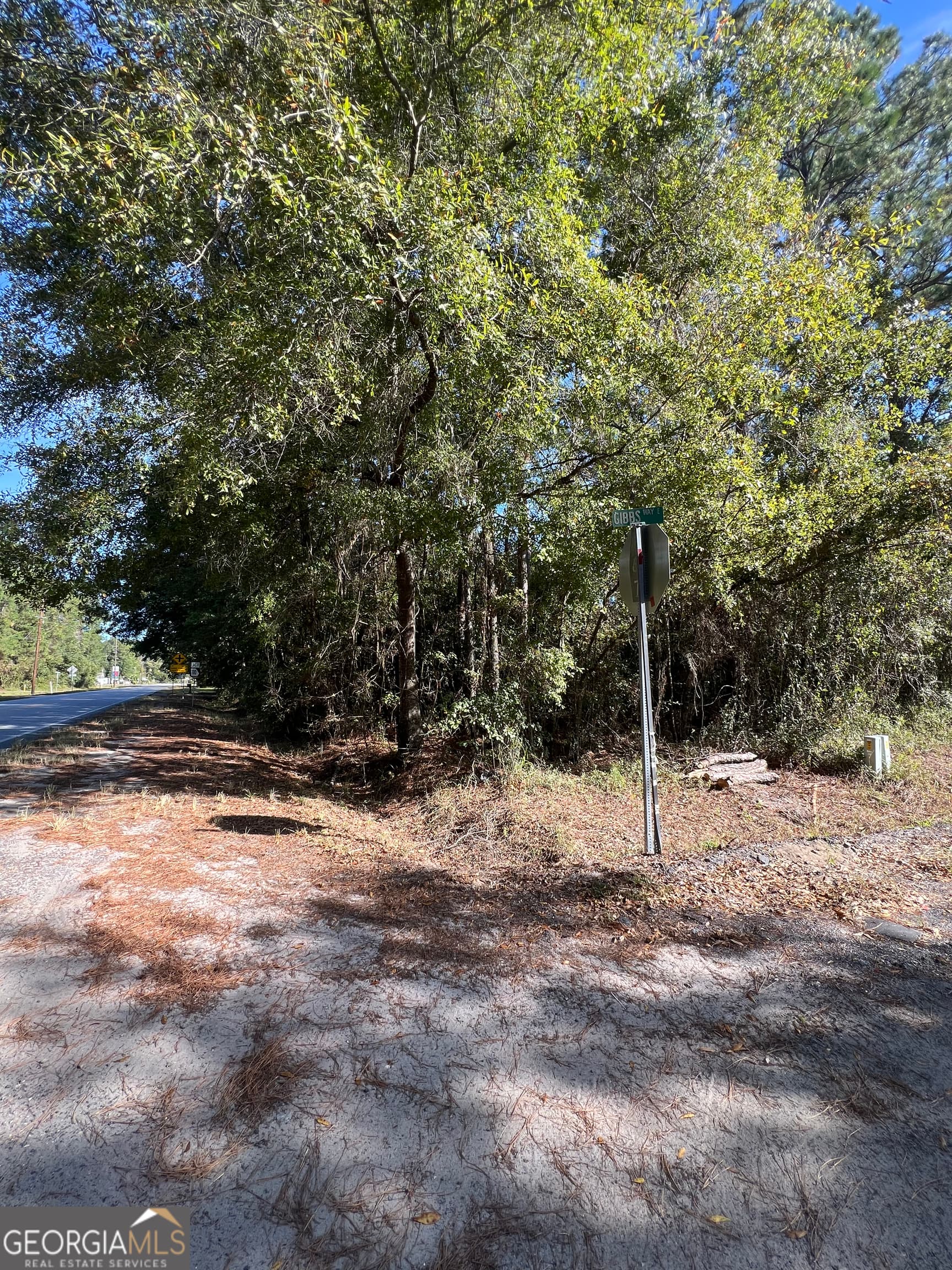 unimproved land for sale at 0 US Highway 17, Waverly, GA 31565 — photo 7