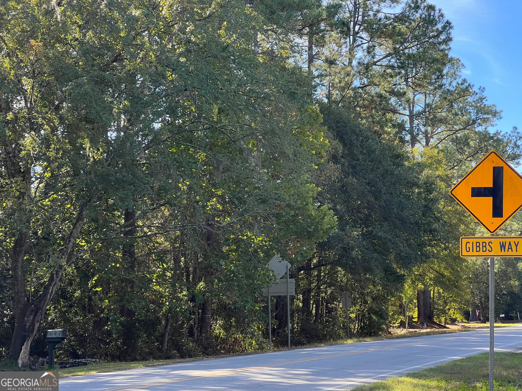unimproved land for sale at 0 US Highway 17, Waverly, GA 31565 — photo 3