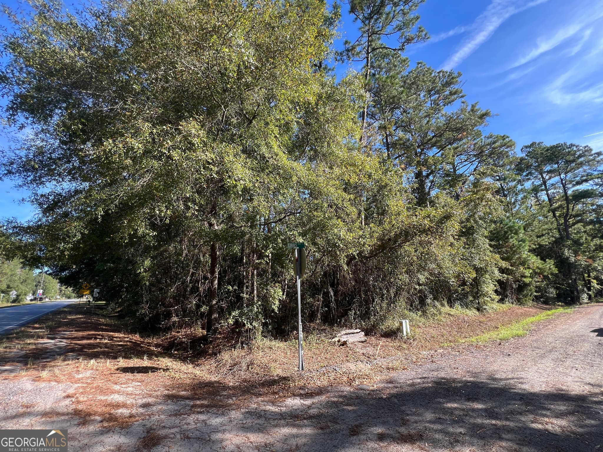 unimproved land for sale at 0 US Highway 17, Waverly, GA 31565 — photo 5