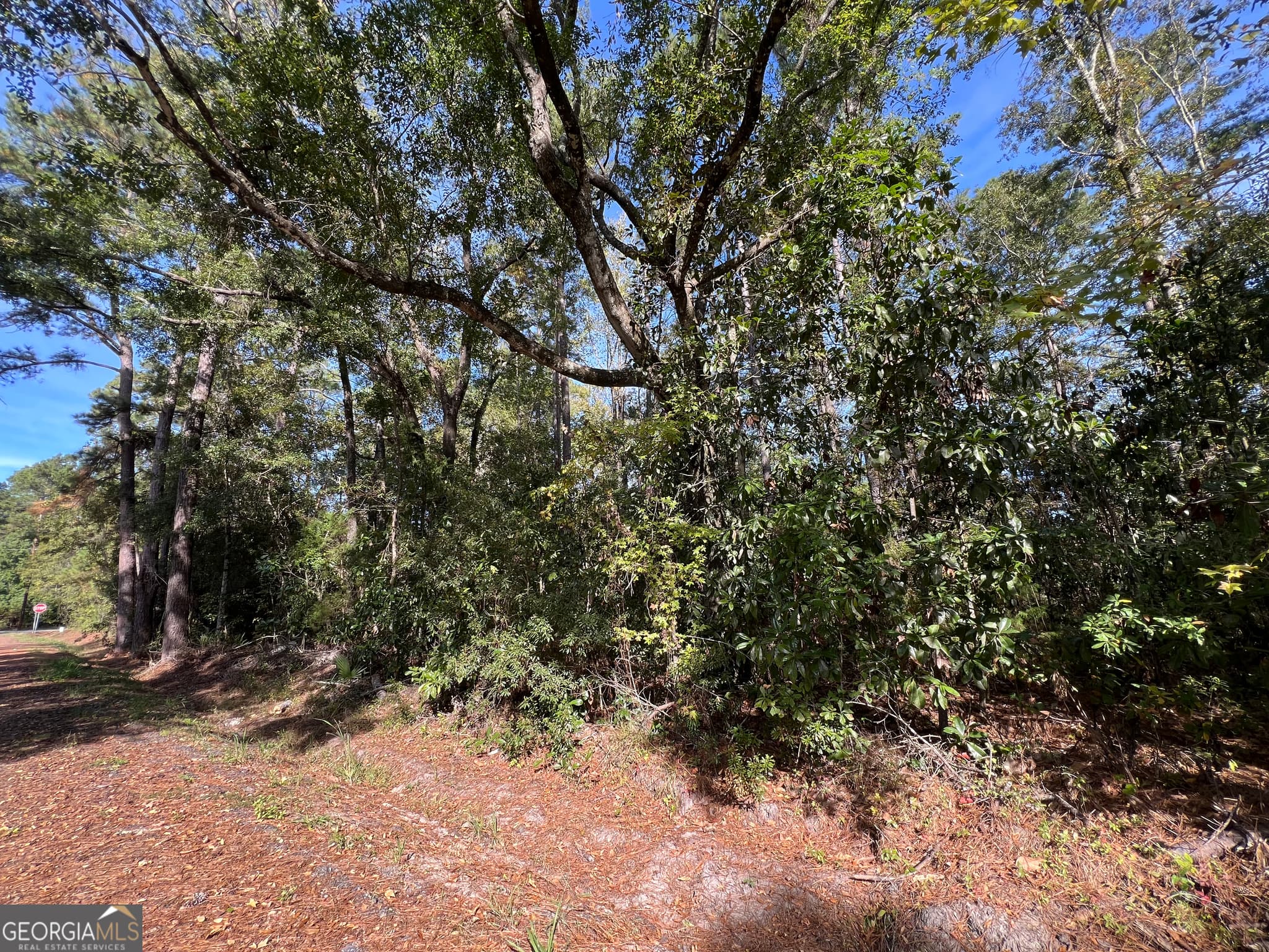 unimproved land for sale at 0 US Highway 17, Waverly, GA 31565 — photo 9