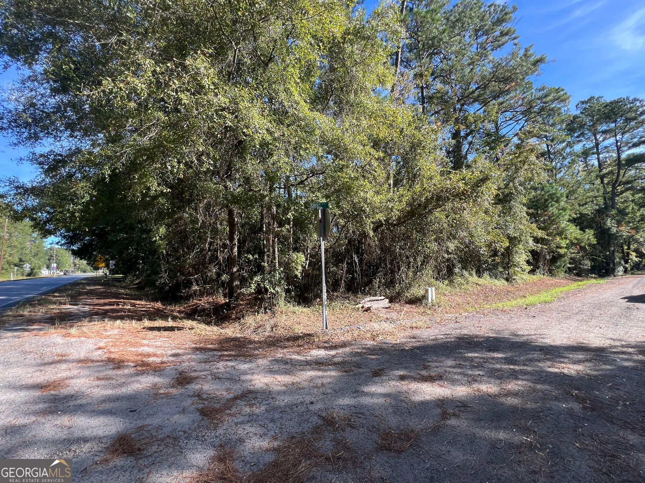 unimproved land for sale at 0 US Highway 17, Waverly, GA 31565 — photo 4