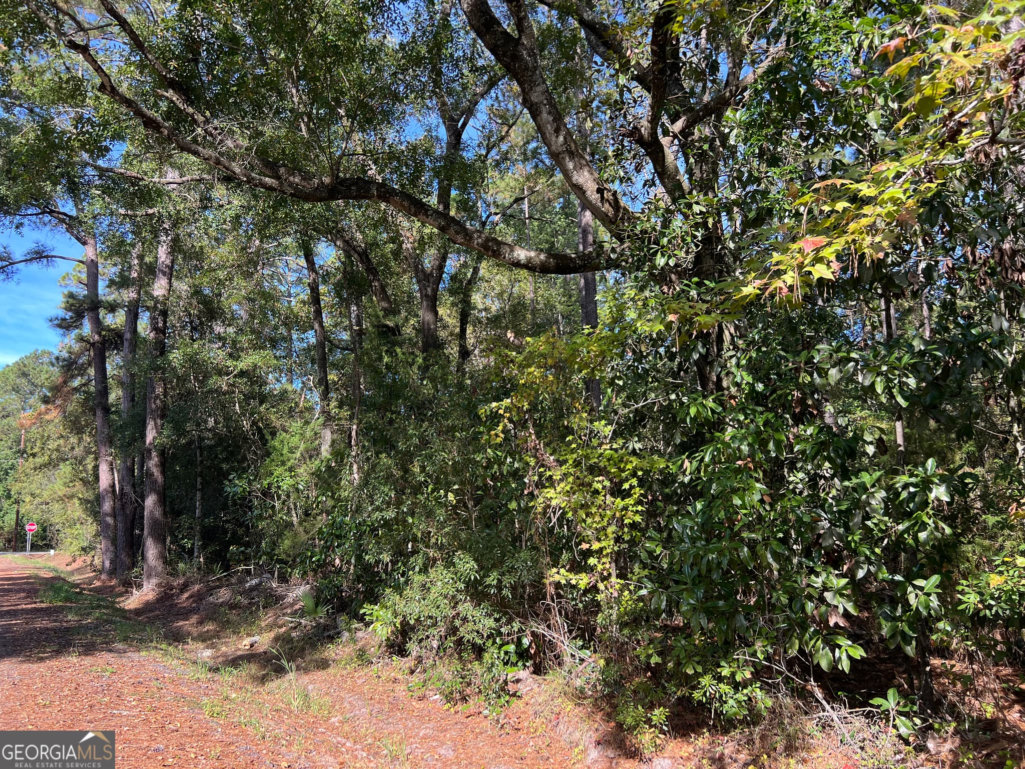unimproved land for sale at 0 US Highway 17, Waverly, GA 31565 — photo 8