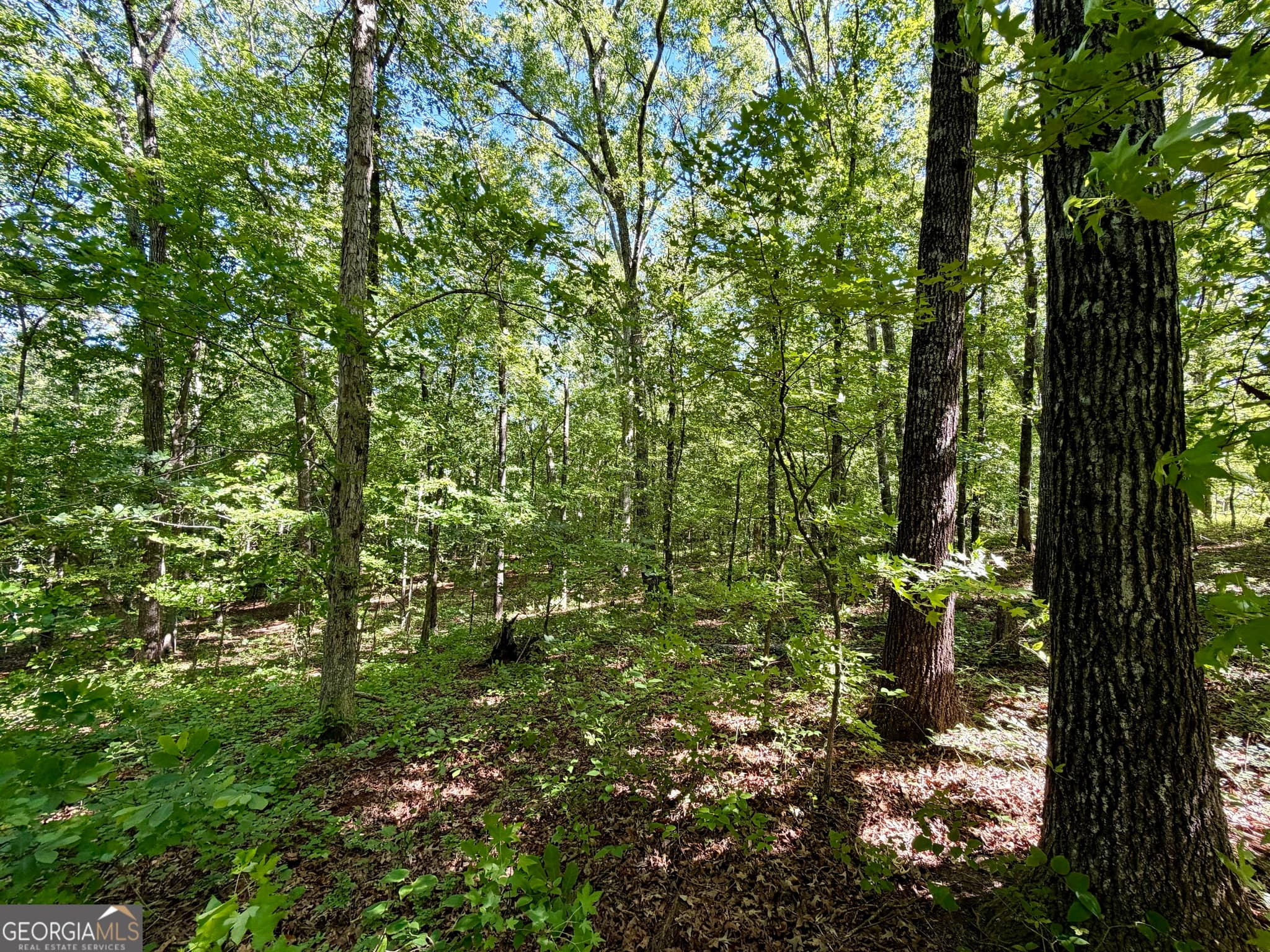 residential lot for sale at 0 Leola Road, Douglasville, GA 30135 — photo 6