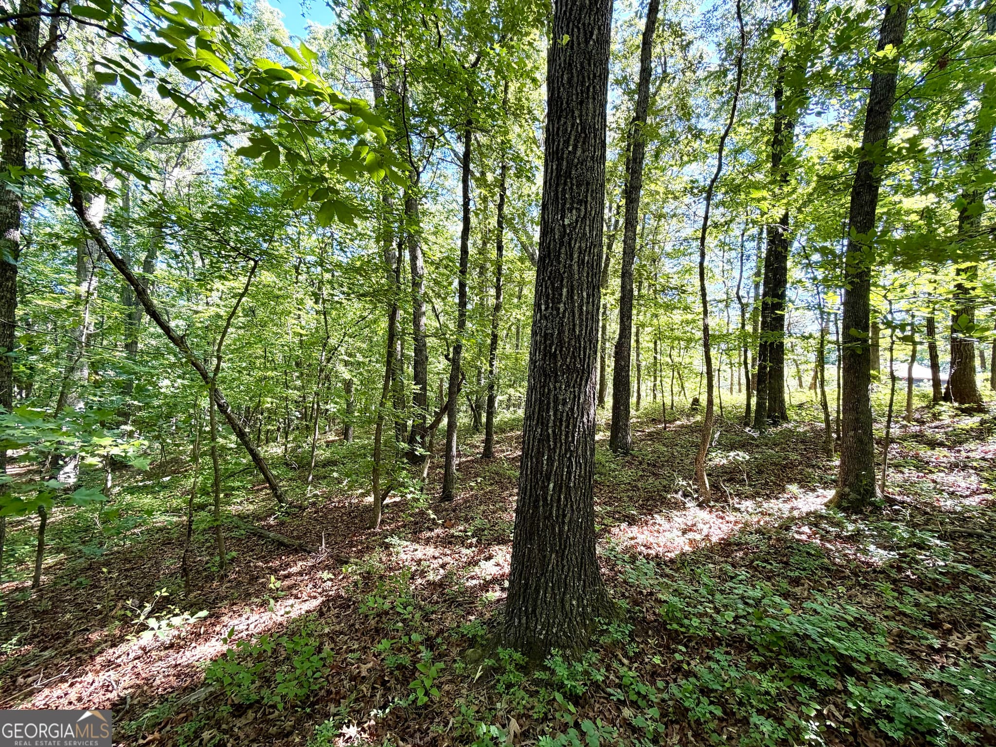 residential lot for sale at 0 Leola Road, Douglasville, GA 30135 — photo 7