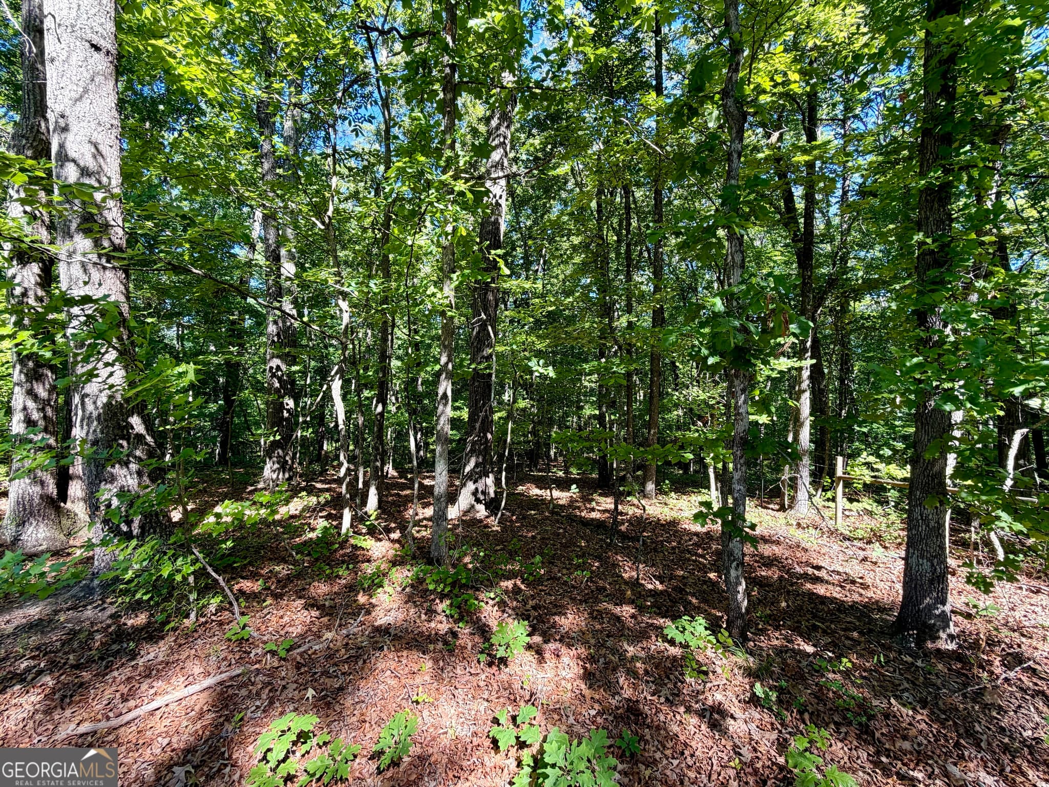 residential lot for sale at 0 Leola Road, Douglasville, GA 30135 — photo 3