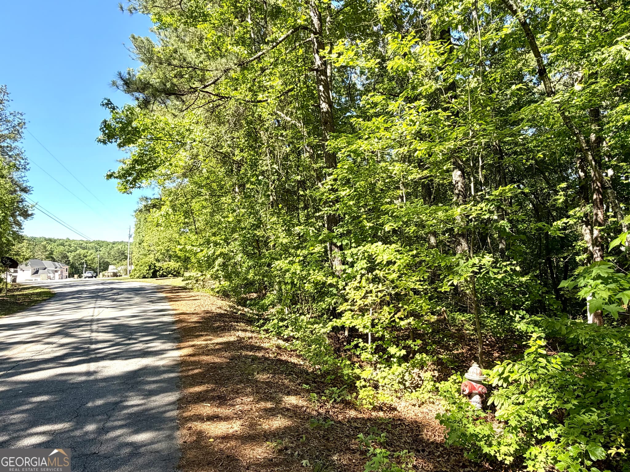 residential lot for sale at 0 Leola Road, Douglasville, GA 30135 — photo 5