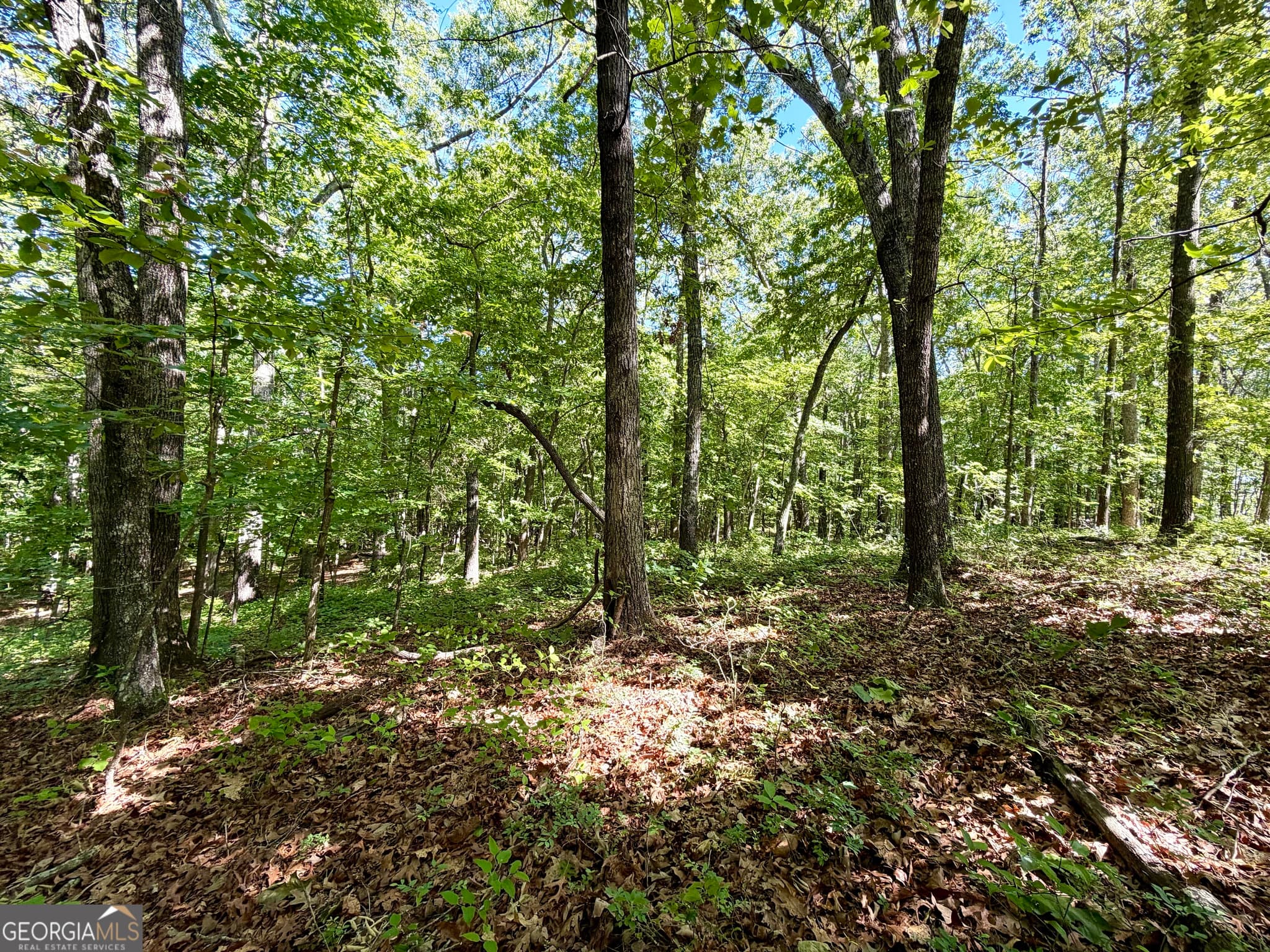 residential lot for sale at 0 Leola Road, Douglasville, GA 30135 — photo 9