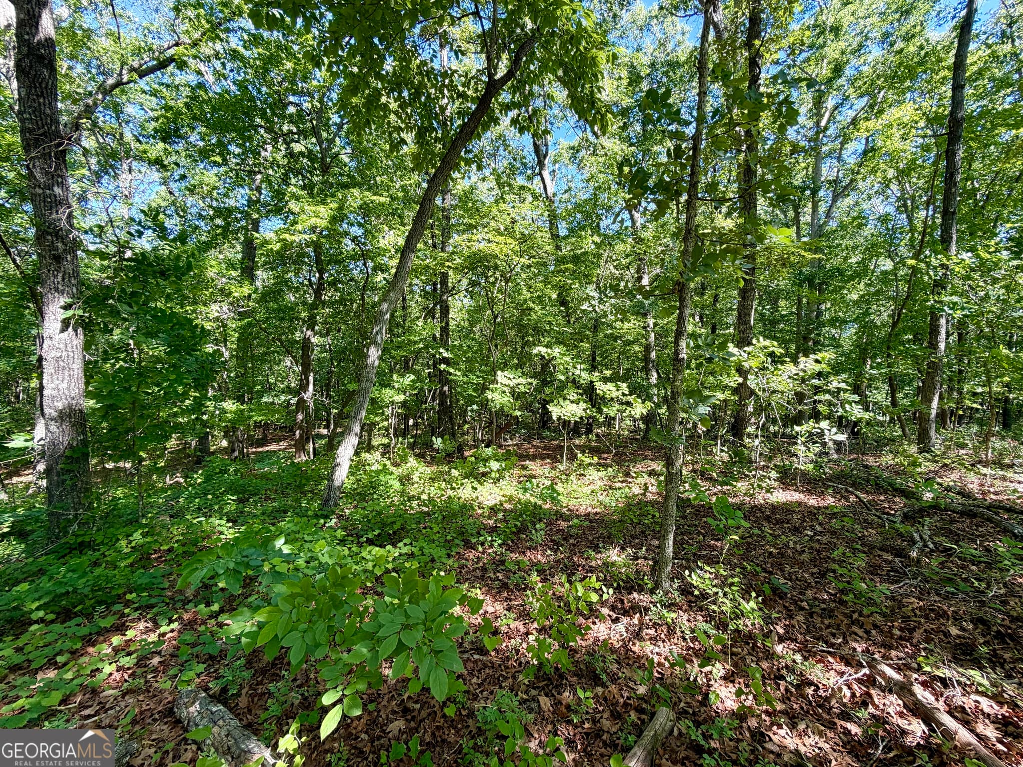 residential lot for sale at 0 Leola Road, Douglasville, GA 30135 — photo 10