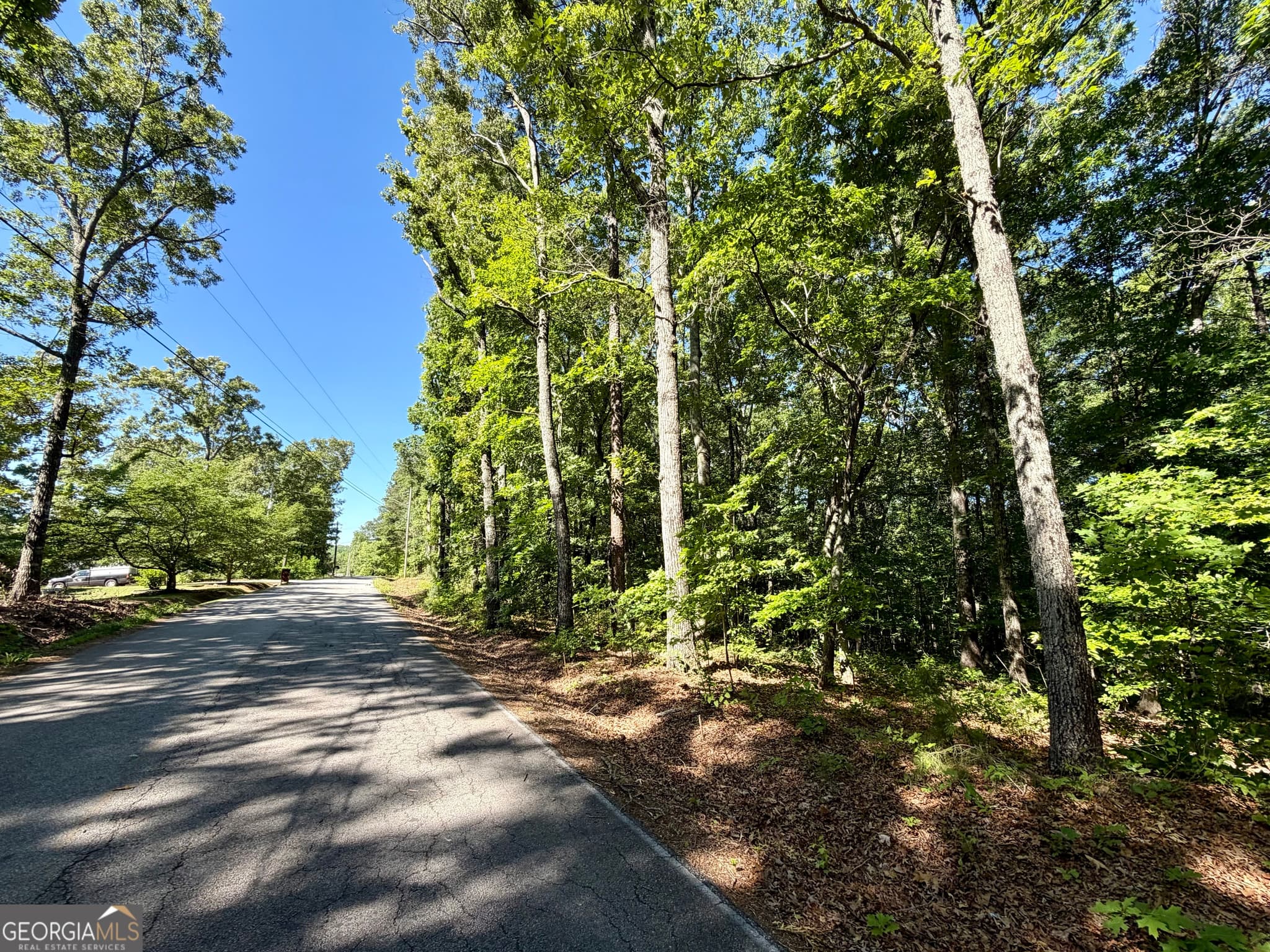 residential lot for sale at 0 Leola Road, Douglasville, GA 30135 — photo 4