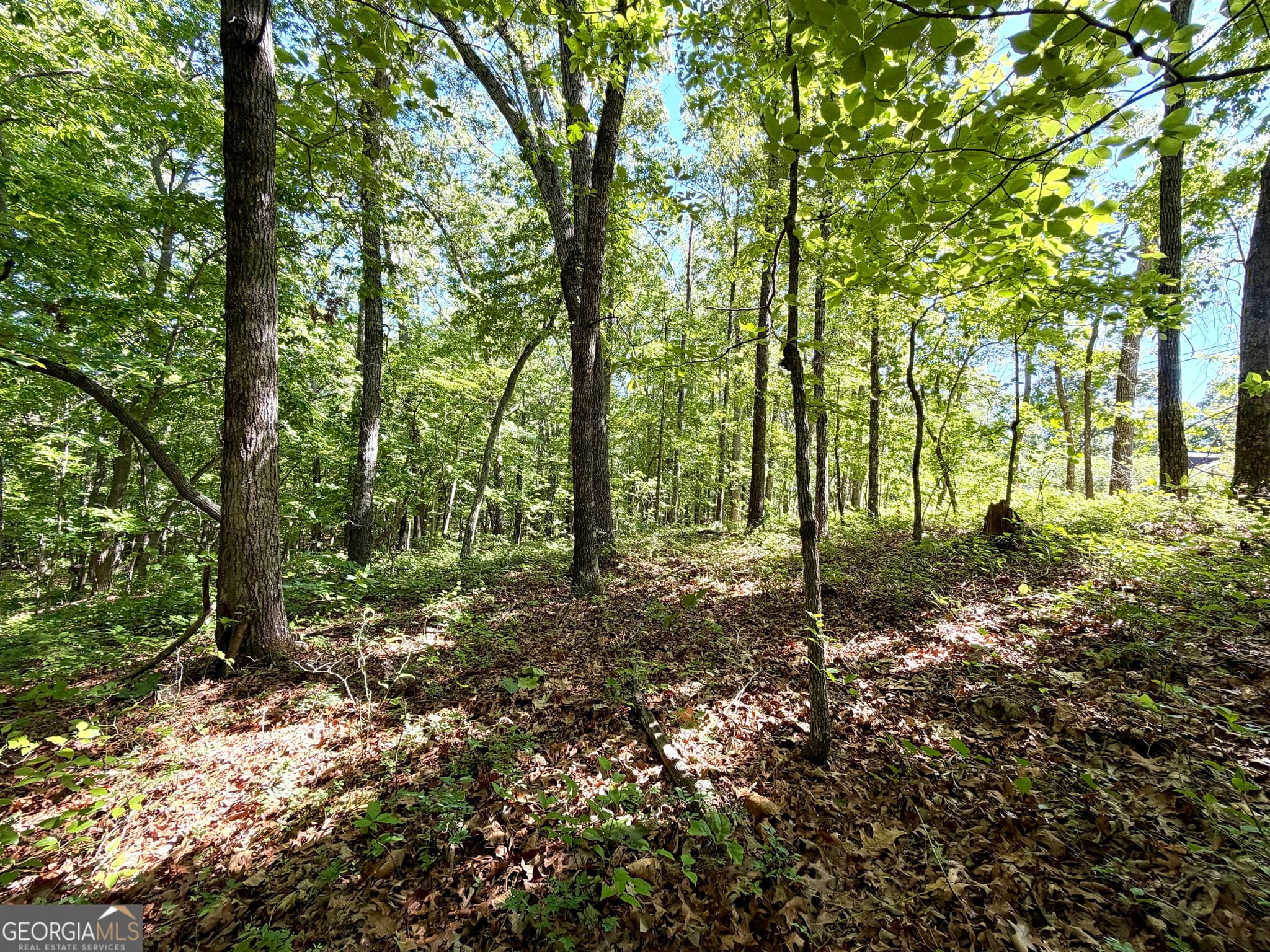 residential lot for sale at 0 Leola Road, Douglasville, GA 30135 — photo 8