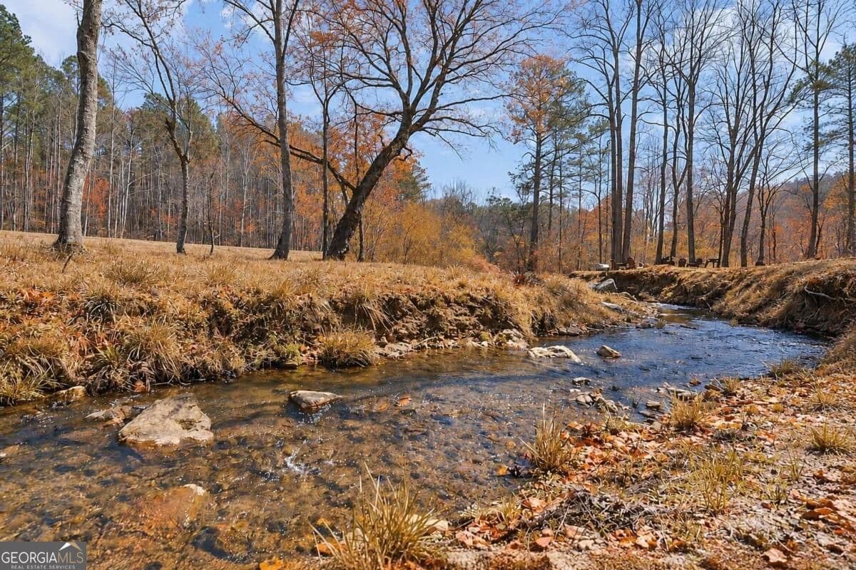 residential lot for sale at 0 Shelter Cove Trail, Talking Rock, GA 30175 — photo 5