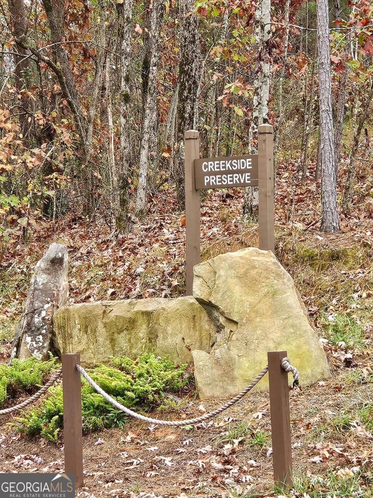 residential lot for sale at 0 Shelter Cove Trail, Talking Rock, GA 30175 — photo 4