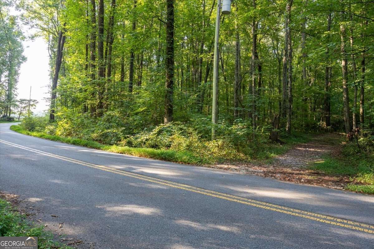 unimproved land for sale at 211 McDaniel Road, Marietta, GA 30064 — photo 2