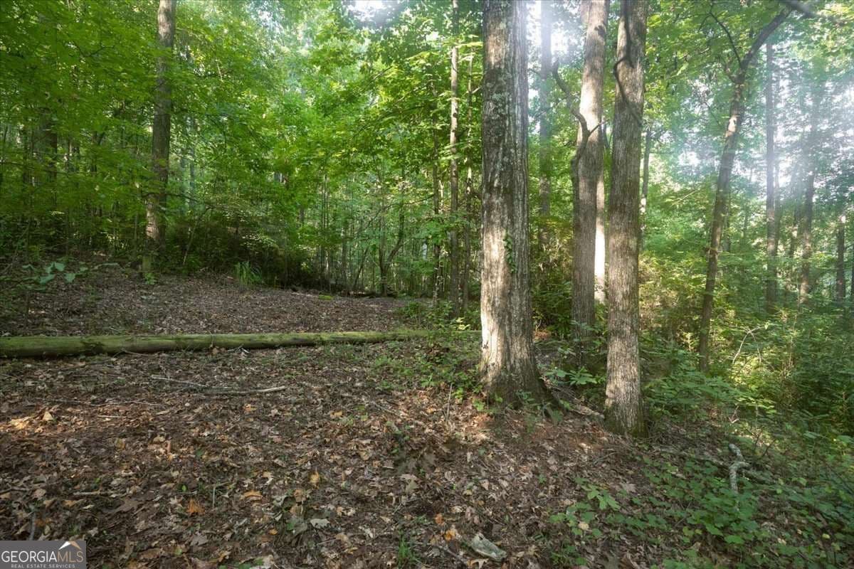 unimproved land for sale at 211 McDaniel Road, Marietta, GA 30064 — photo 6