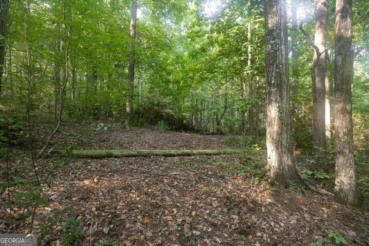unimproved land for sale at 211 McDaniel Road, Marietta, GA 30064 — photo 7