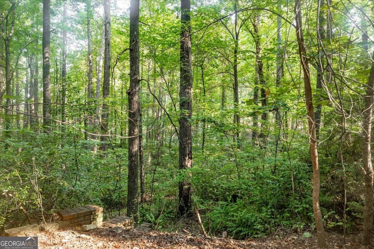 unimproved land for sale at 211 McDaniel Road, Marietta, GA 30064 — photo 3