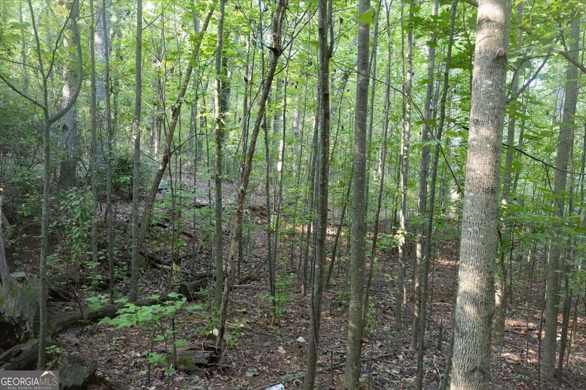 unimproved land for sale at 211 McDaniel Road, Marietta, GA 30064 — photo 9