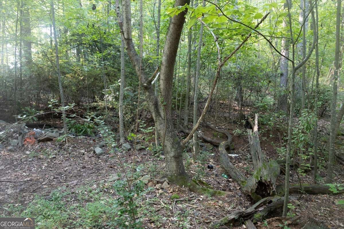 unimproved land for sale at 211 McDaniel Road, Marietta, GA 30064 — photo 10