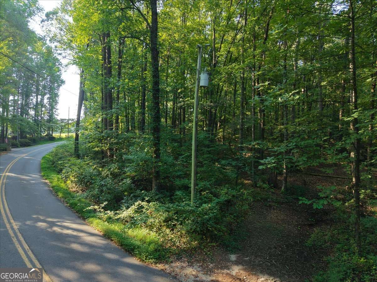 unimproved land for sale at 211 McDaniel Road, Marietta, GA 30064 — photo 4