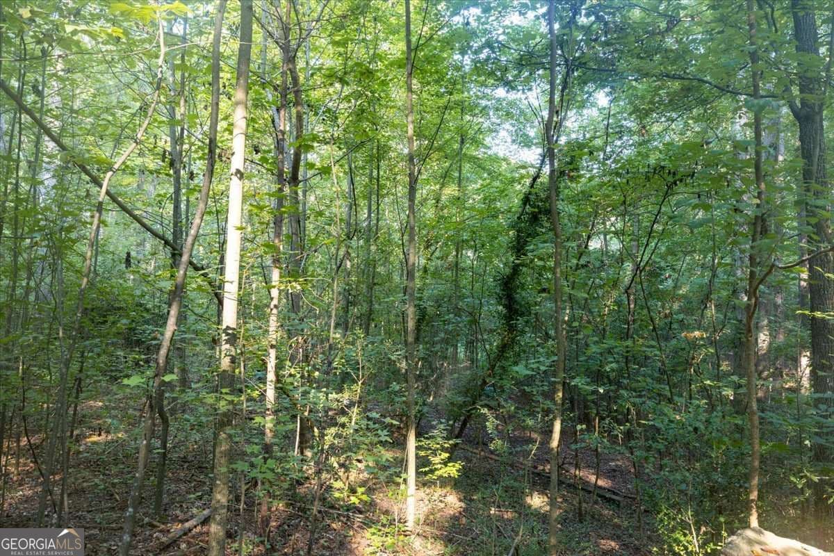 unimproved land for sale at 211 McDaniel Road, Marietta, GA 30064 — photo 8