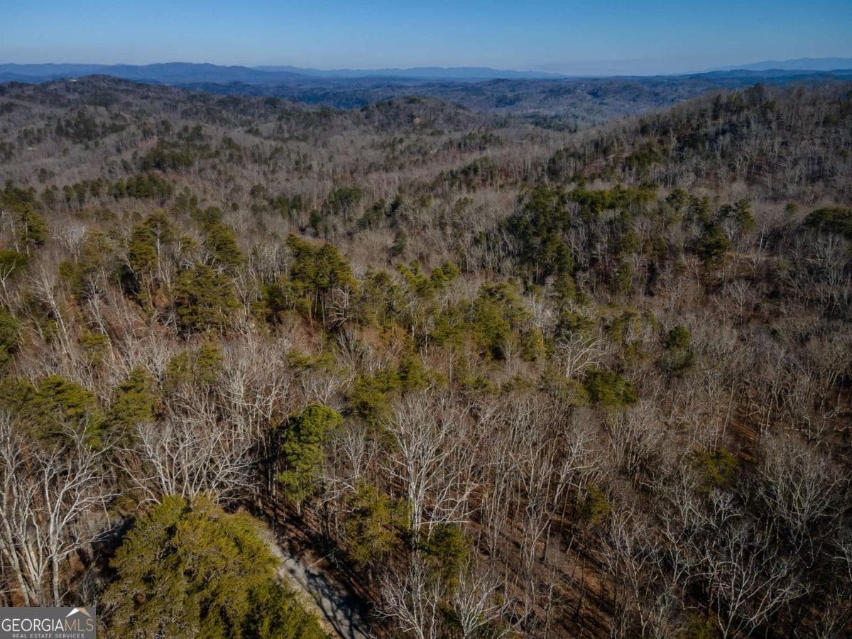 unimproved land for sale at 4.78 AC Bell Court, Ranger, GA 30734 — photo 2