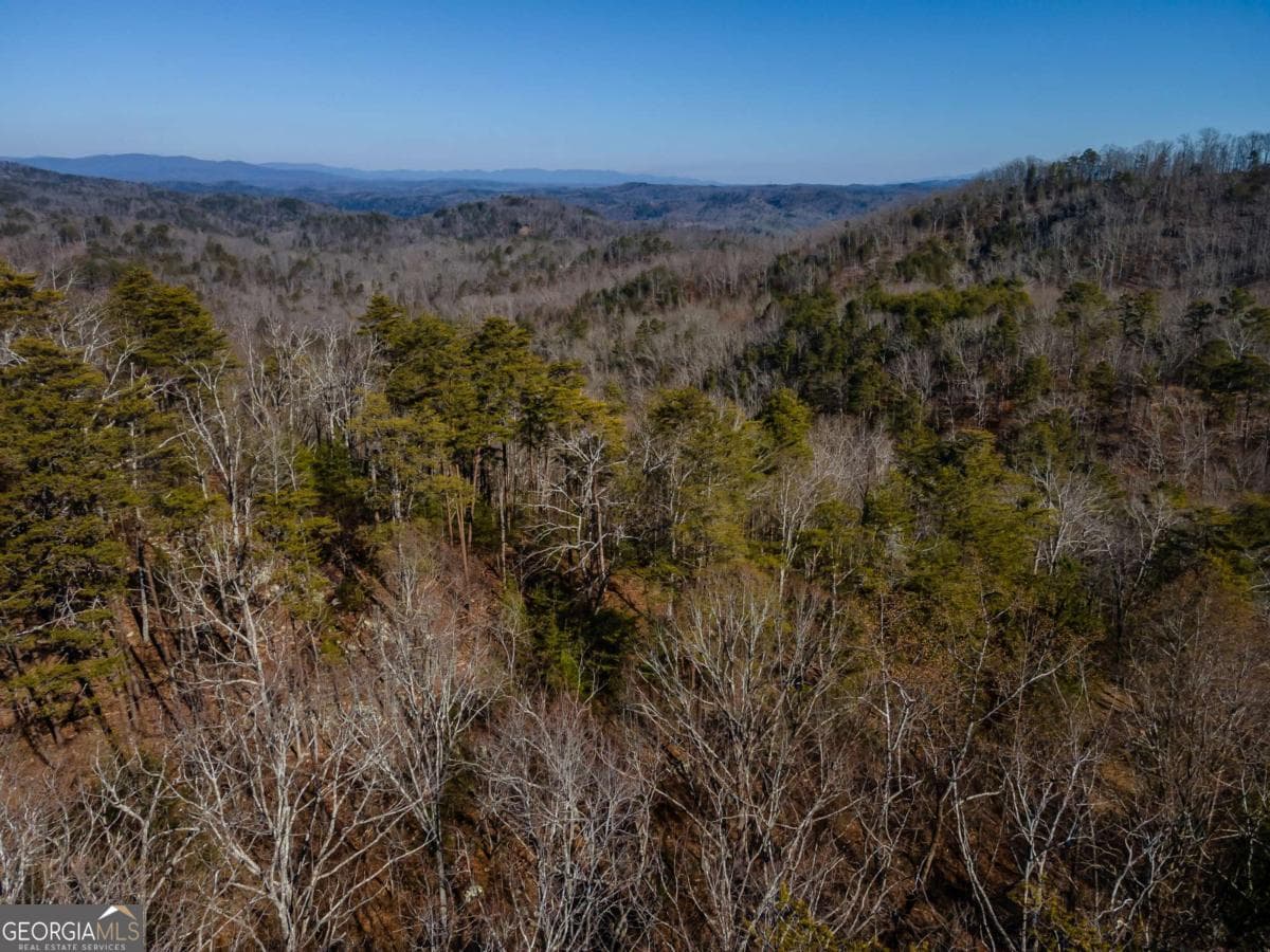unimproved land for sale at 4.78 AC Bell Court, Ranger, GA 30734 — photo 6