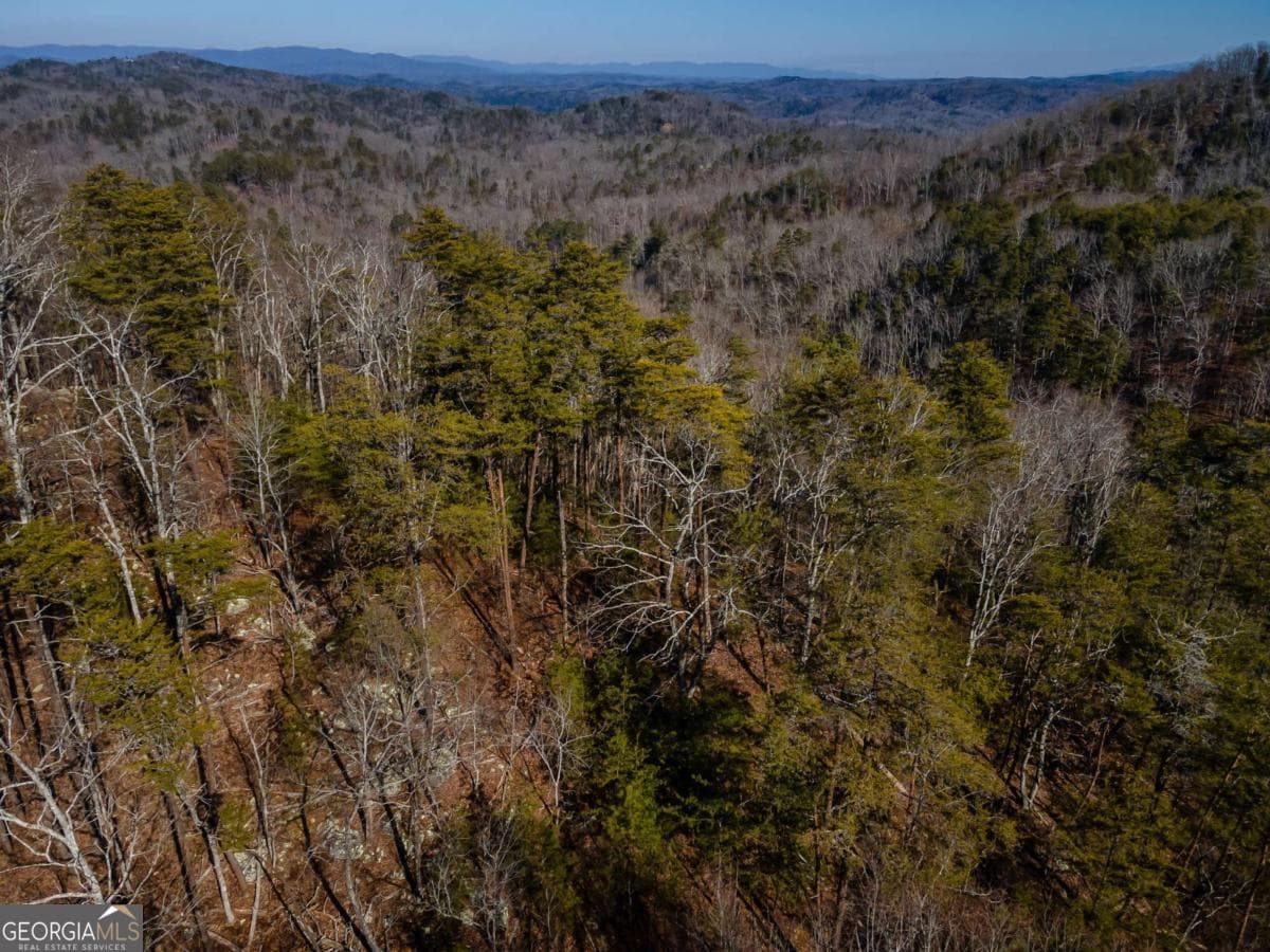 unimproved land for sale at 4.78 AC Bell Court, Ranger, GA 30734 — photo 7