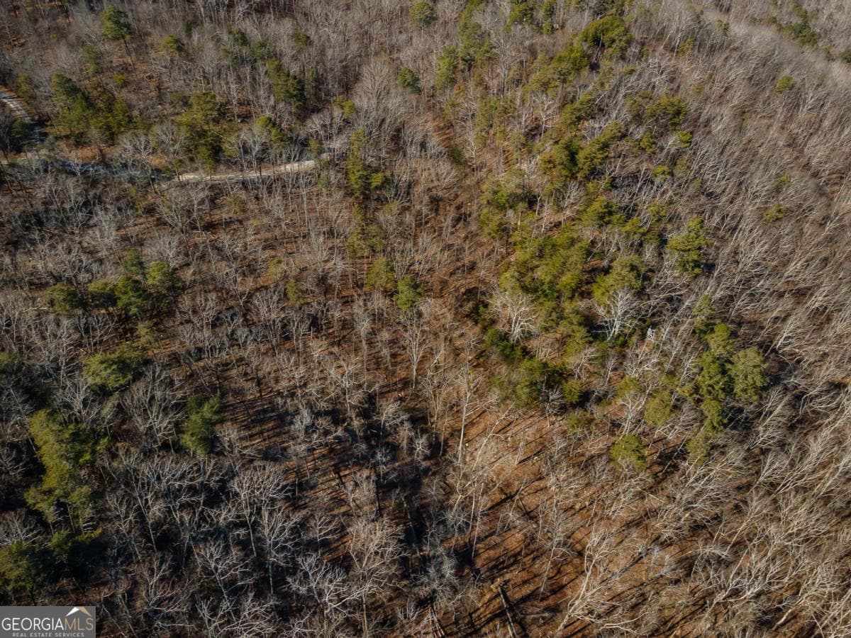 unimproved land for sale at 4.78 AC Bell Court, Ranger, GA 30734 — photo 3