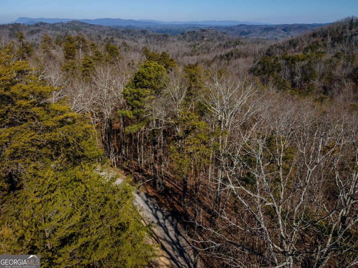 unimproved land for sale at 4.78 AC Bell Court, Ranger, GA 30734 — photo 5