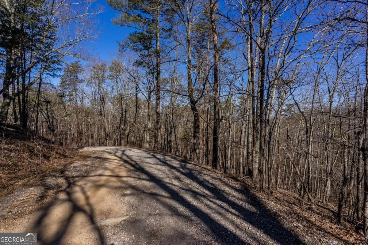 unimproved land for sale at 4.78 AC Bell Court, Ranger, GA 30734 — photo 9