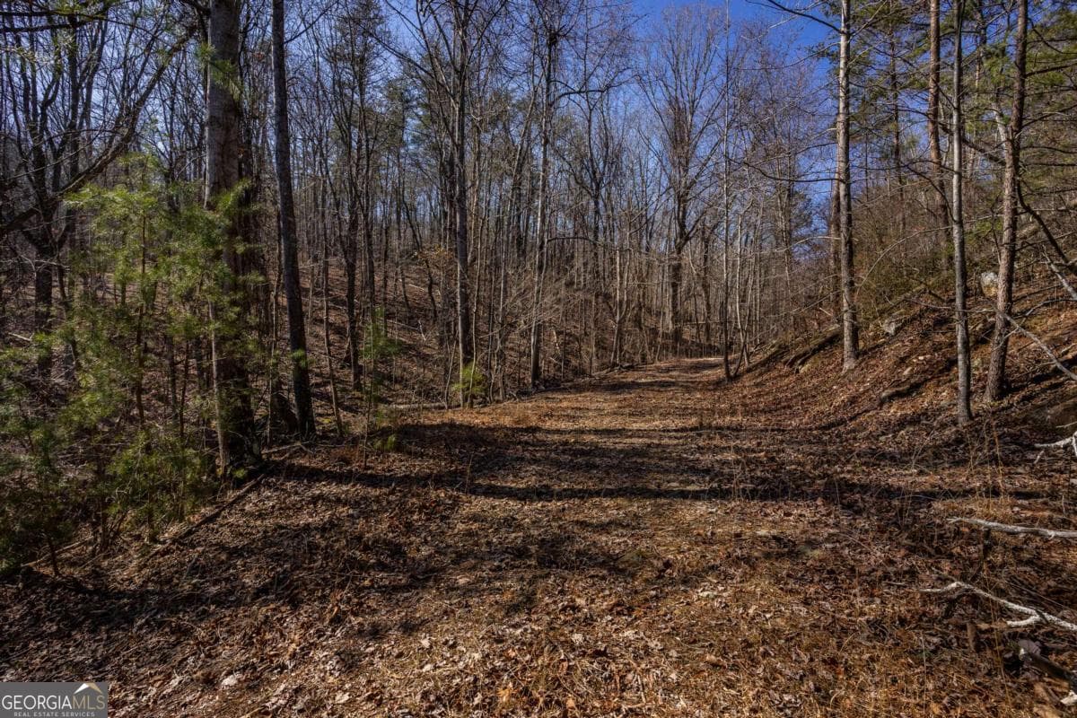 unimproved land for sale at 4.78 AC Bell Court, Ranger, GA 30734 — photo 10
