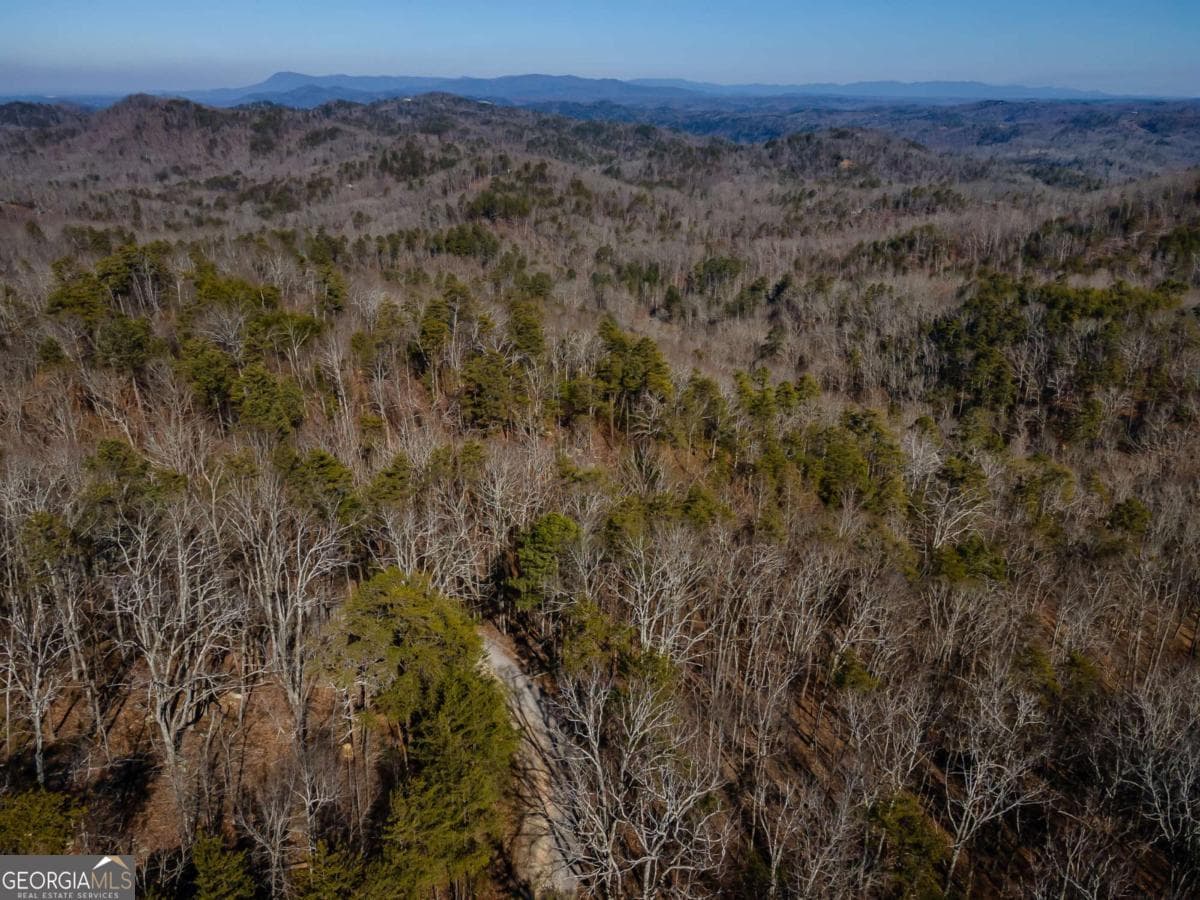 unimproved land for sale at 4.78 AC Bell Court, Ranger, GA 30734 — photo 4