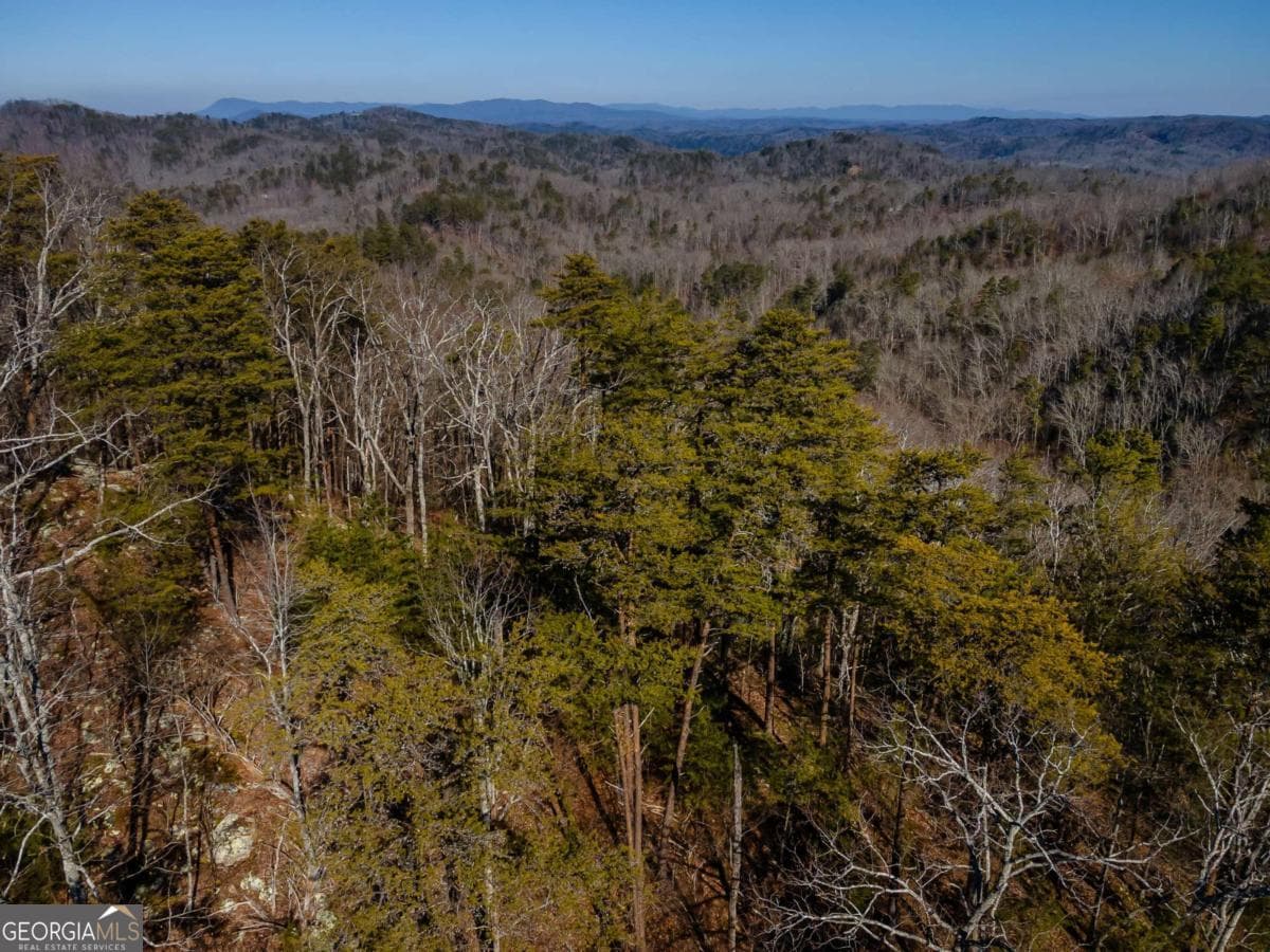 unimproved land for sale at 4.78 AC Bell Court, Ranger, GA 30734 — photo 8