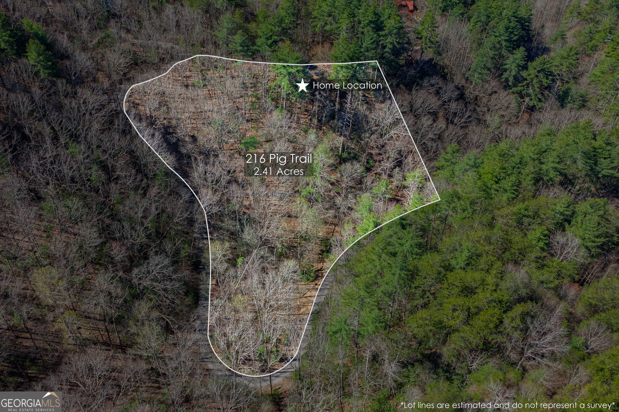 2 bedroom, 1 bathroom, 672 sq ft cabin,single family residence for sale at 216 Pig Trail, Cherry Log, GA 30522 — photo 2