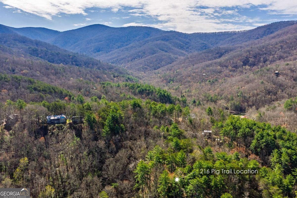2 bedroom, 1 bathroom, 672 sq ft cabin,single family residence for sale at 216 Pig Trail, Cherry Log, GA 30522 — photo 5
