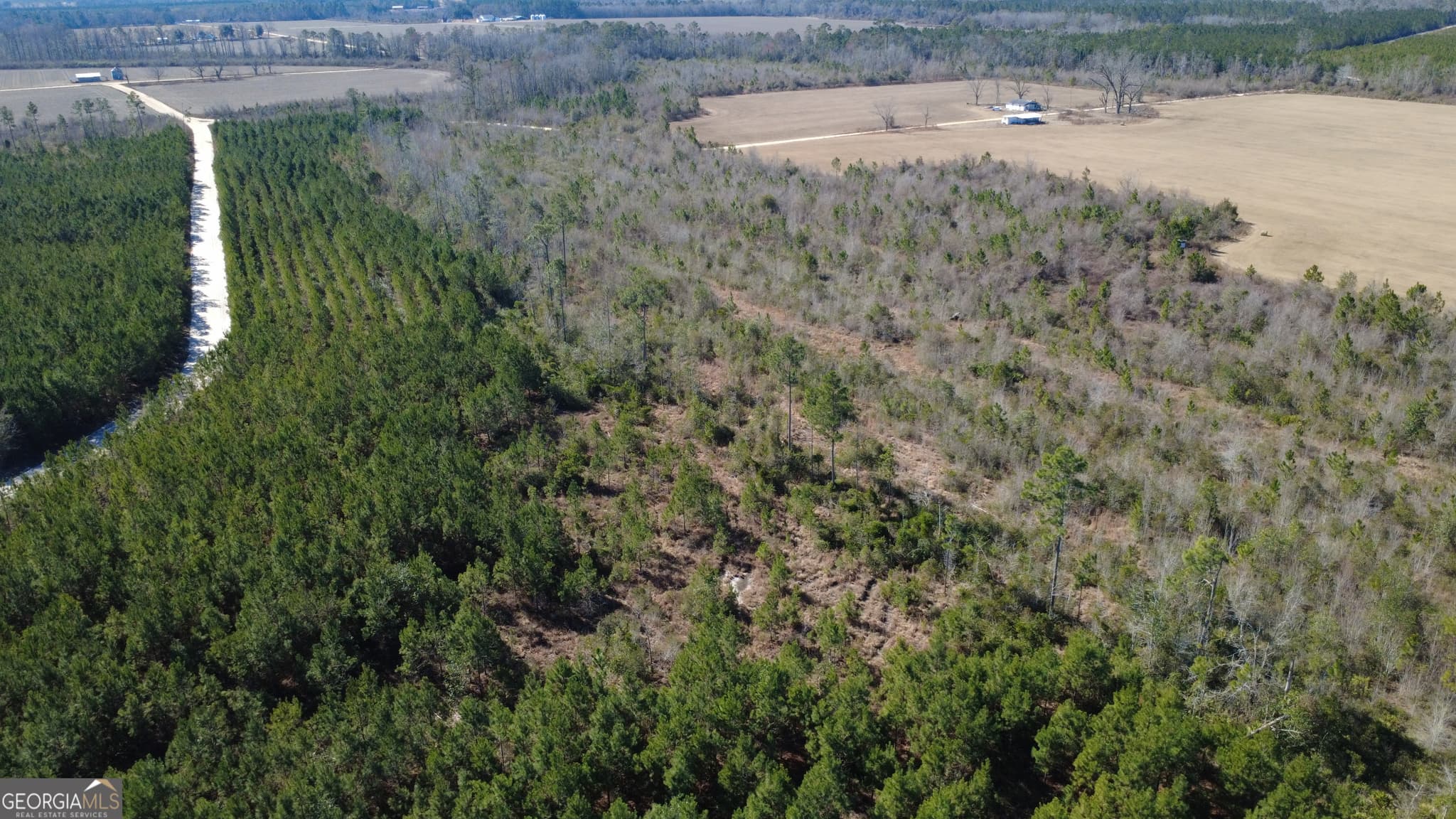 agriculture sold at TRACT 5 Greyhound Road, Mershon, GA 31551