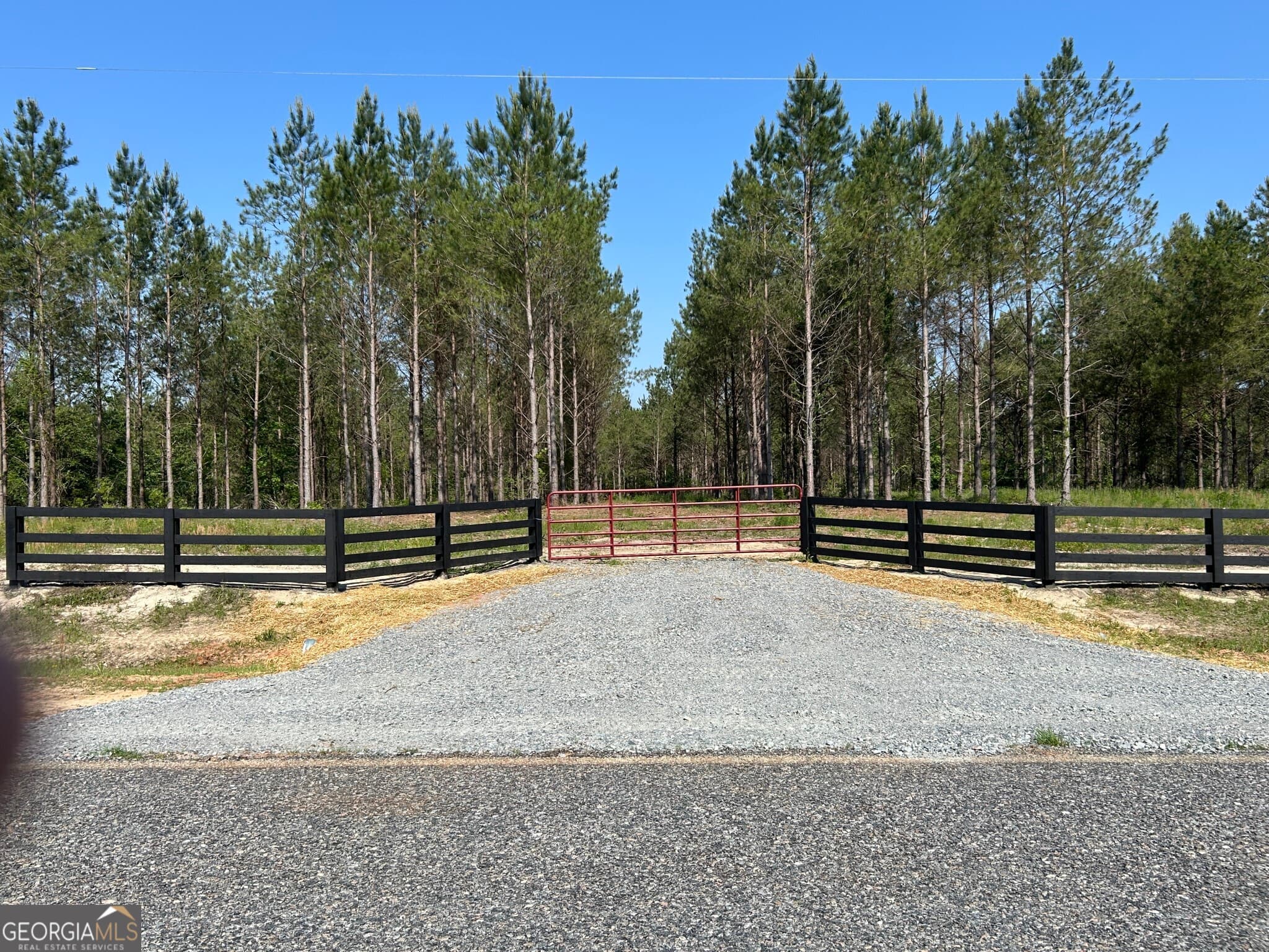 residential lot for sale at 0 Dewey Thomas Road LOT 4, Dexter, GA 31019 — photo 6