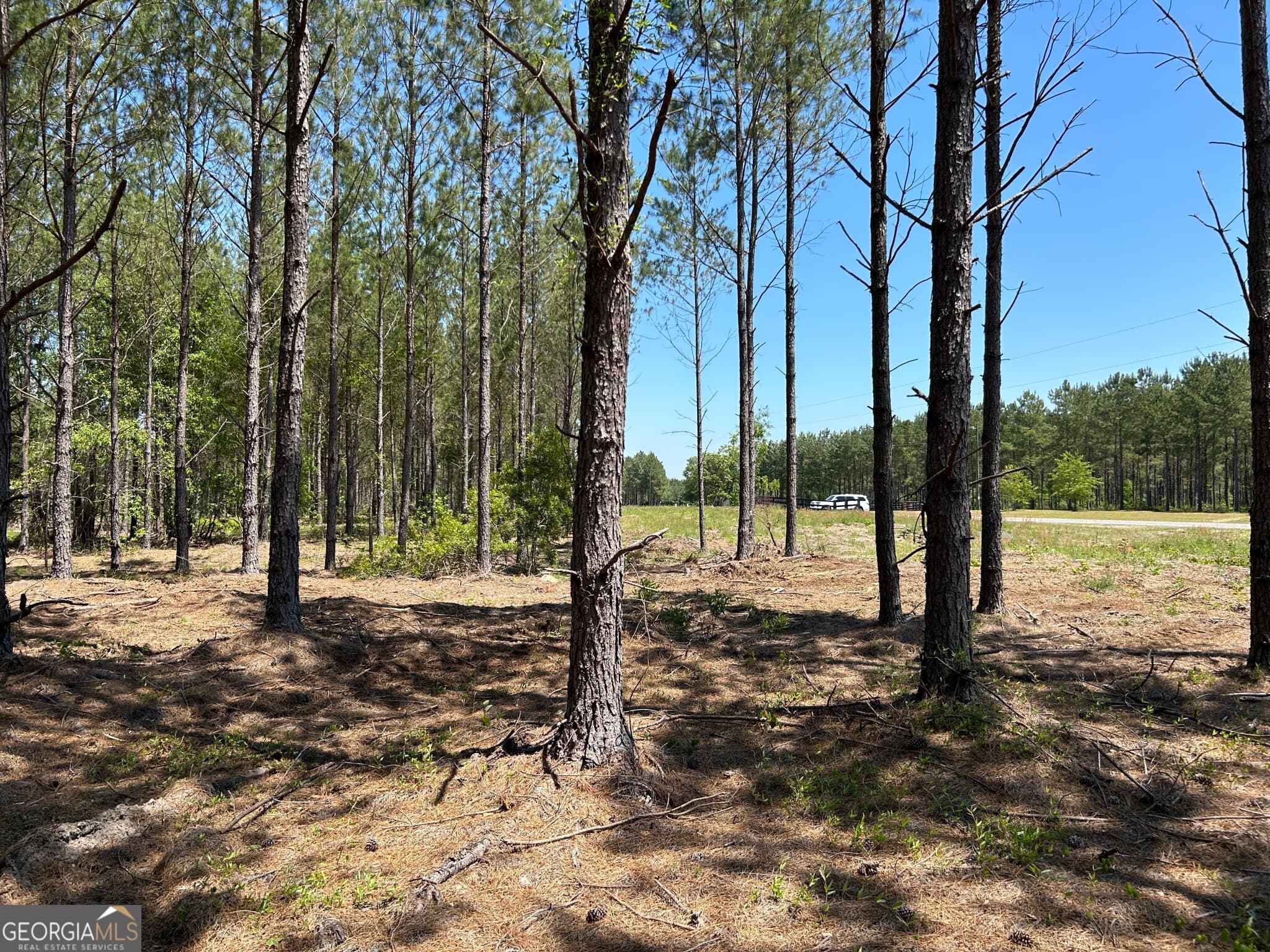 residential lot for sale at 0 Dewey Thomas Road LOT 4, Dexter, GA 31019 — photo 7