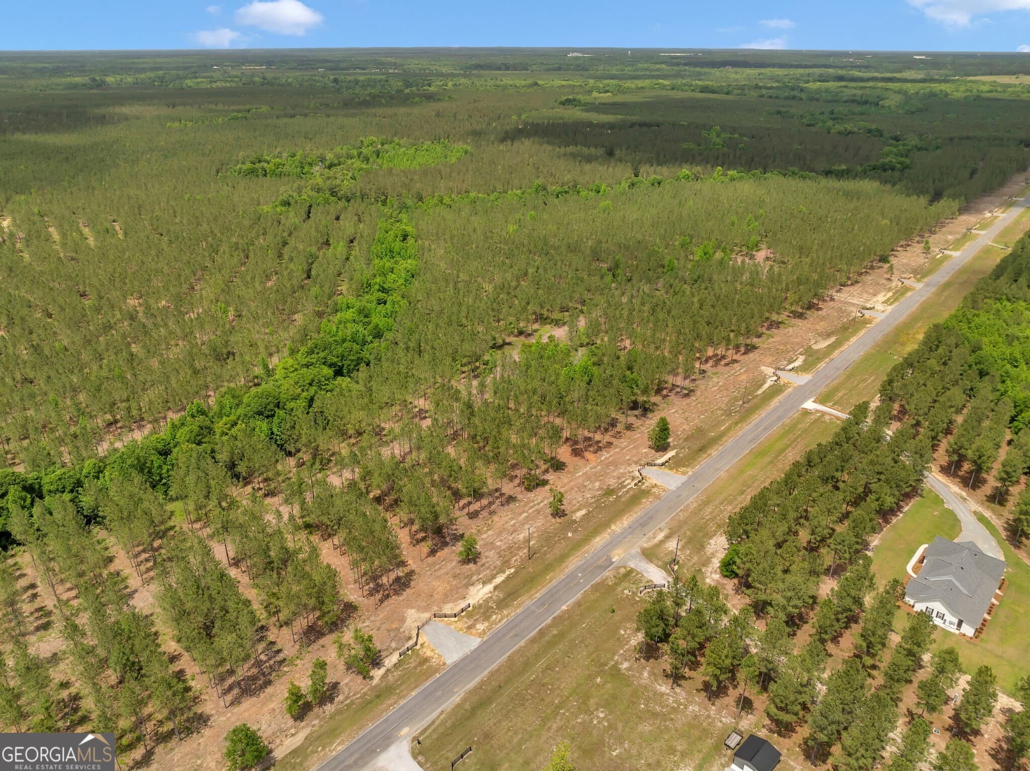 residential lot for sale at 0 Dewey Thomas Road LOT 4, Dexter, GA 31019 — photo 3