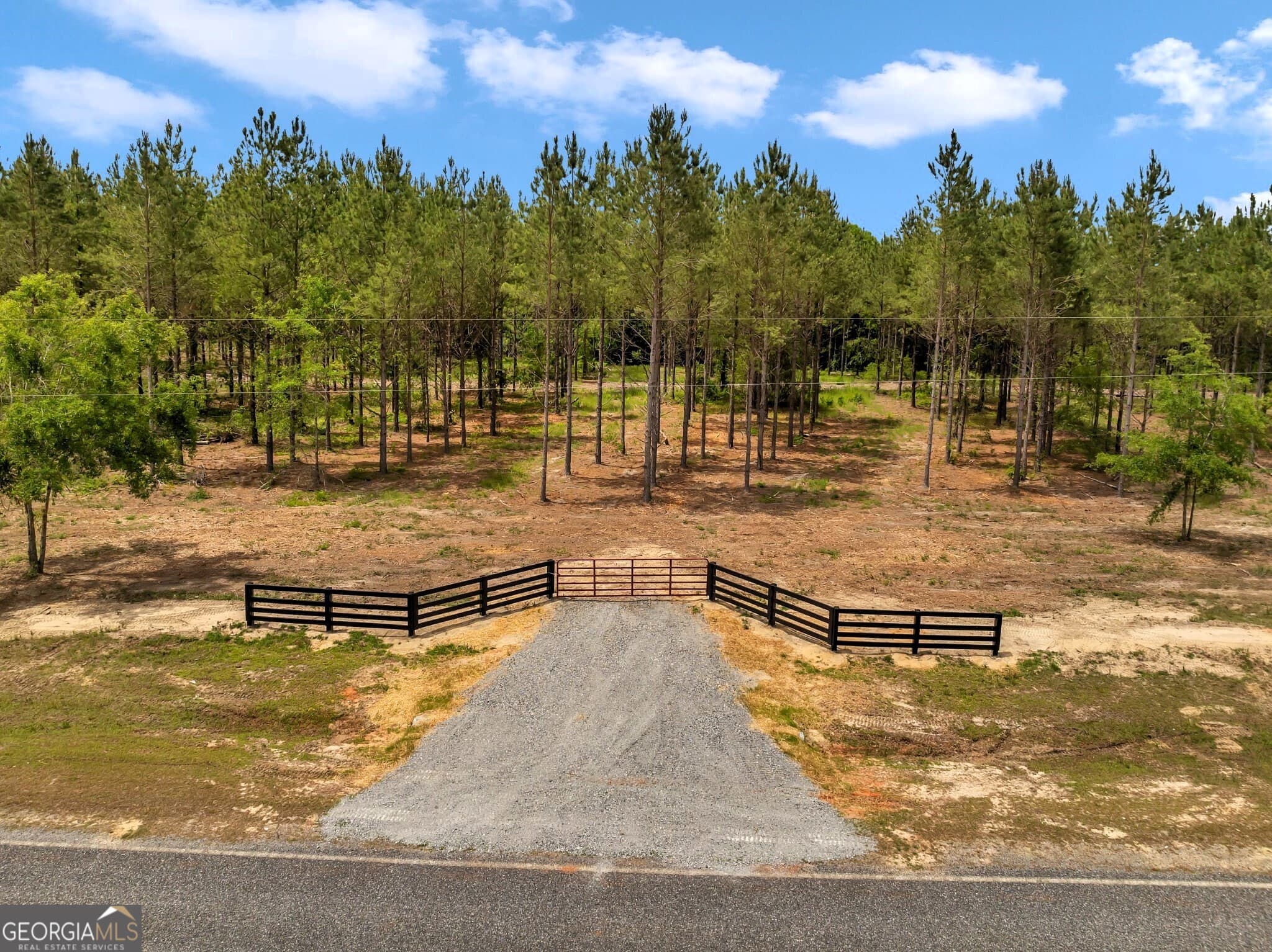 residential lot for sale at 0 Dewey Thomas Road LOT 4, Dexter, GA 31019 — photo 1 of 17
