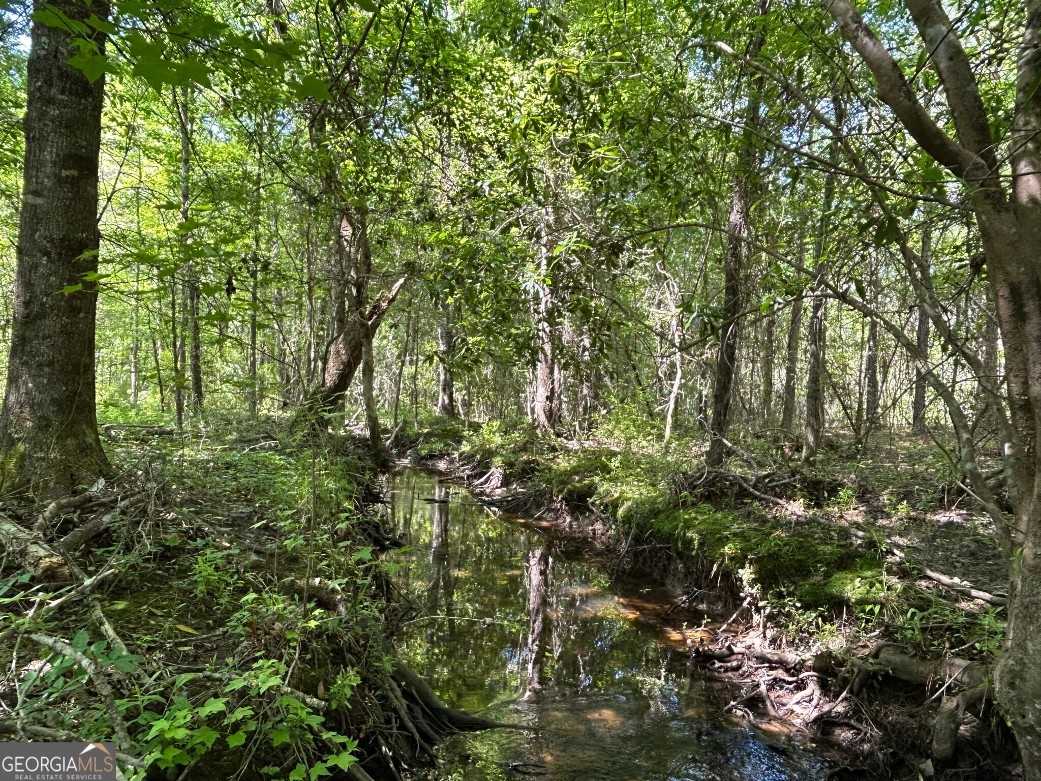 residential lot for sale at 0 Dewey Thomas Road LOT 4, Dexter, GA 31019 — photo 9