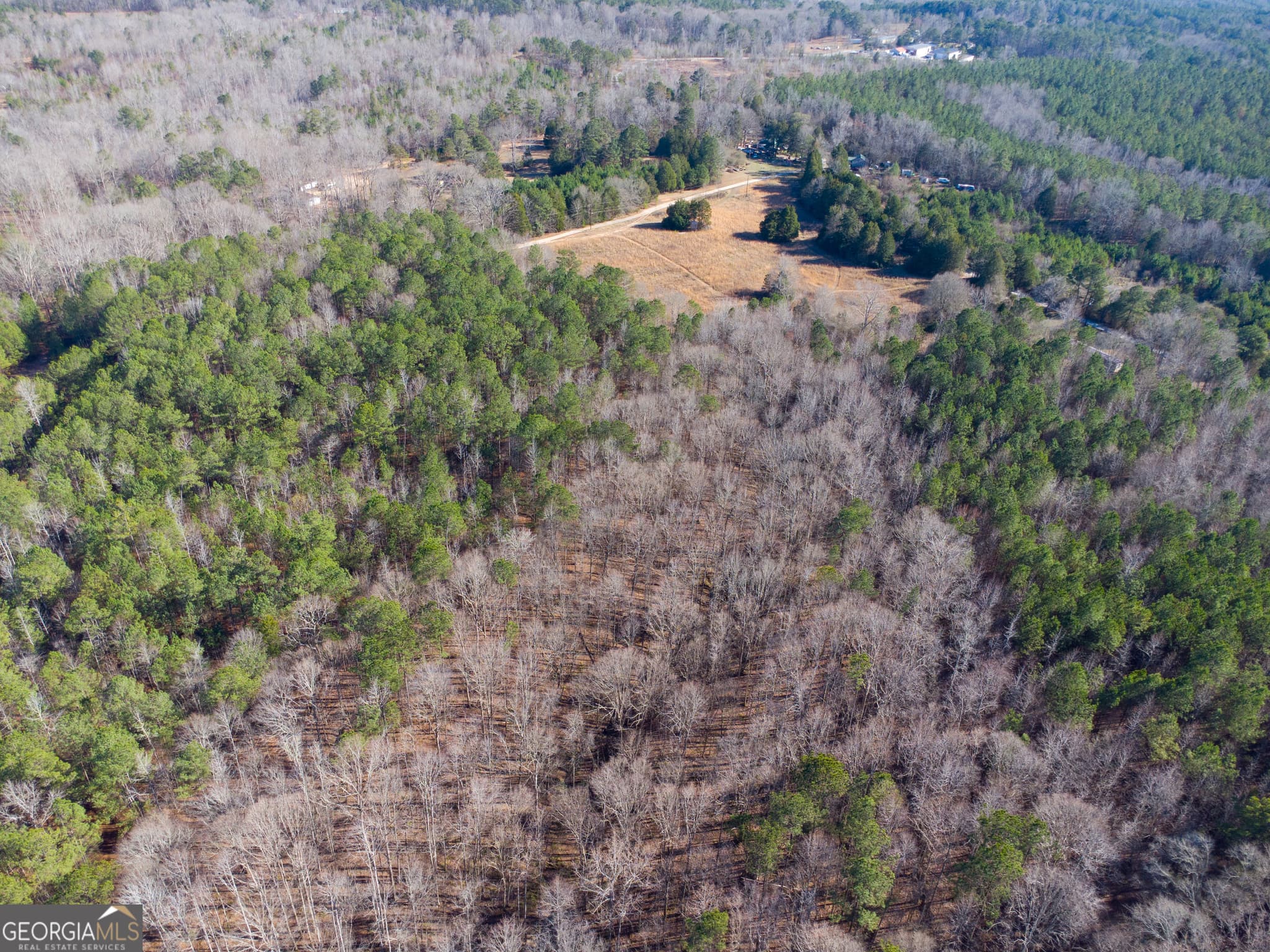 residential lot for sale at 0 Levi Bradbury Road, Moreland, GA 30259 — photo 2