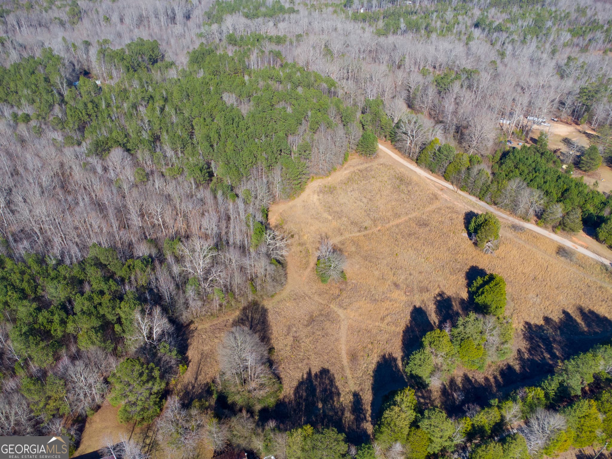 residential lot for sale at 0 Levi Bradbury Road, Moreland, GA 30259 — photo 3