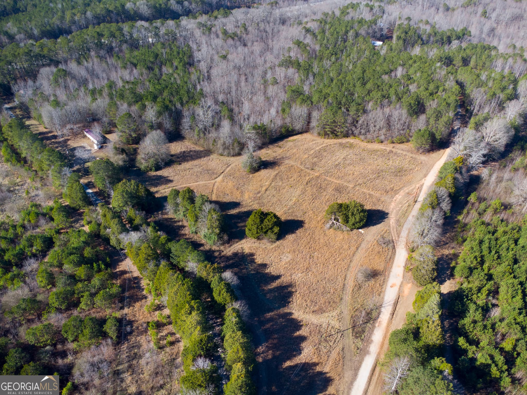 residential lot for sale at 0 Levi Bradbury Road, Moreland, GA 30259 — photo 5