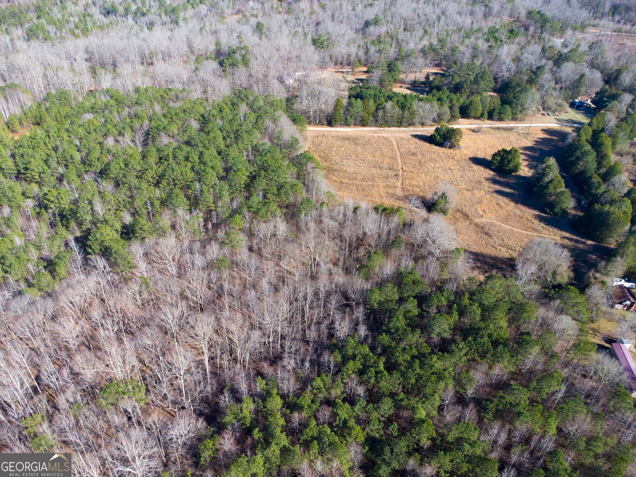 residential lot for sale at 0 Levi Bradbury Road, Moreland, GA 30259 — photo 4