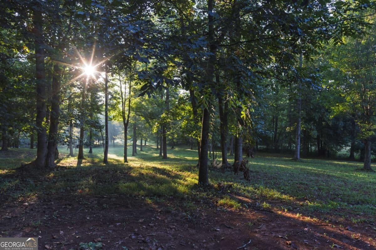 4 bedroom, 2 bathroom, 2,376 sq ft single family residence for sale at 2907 Hightower Road, Ball Ground, GA 30107 — photo 3