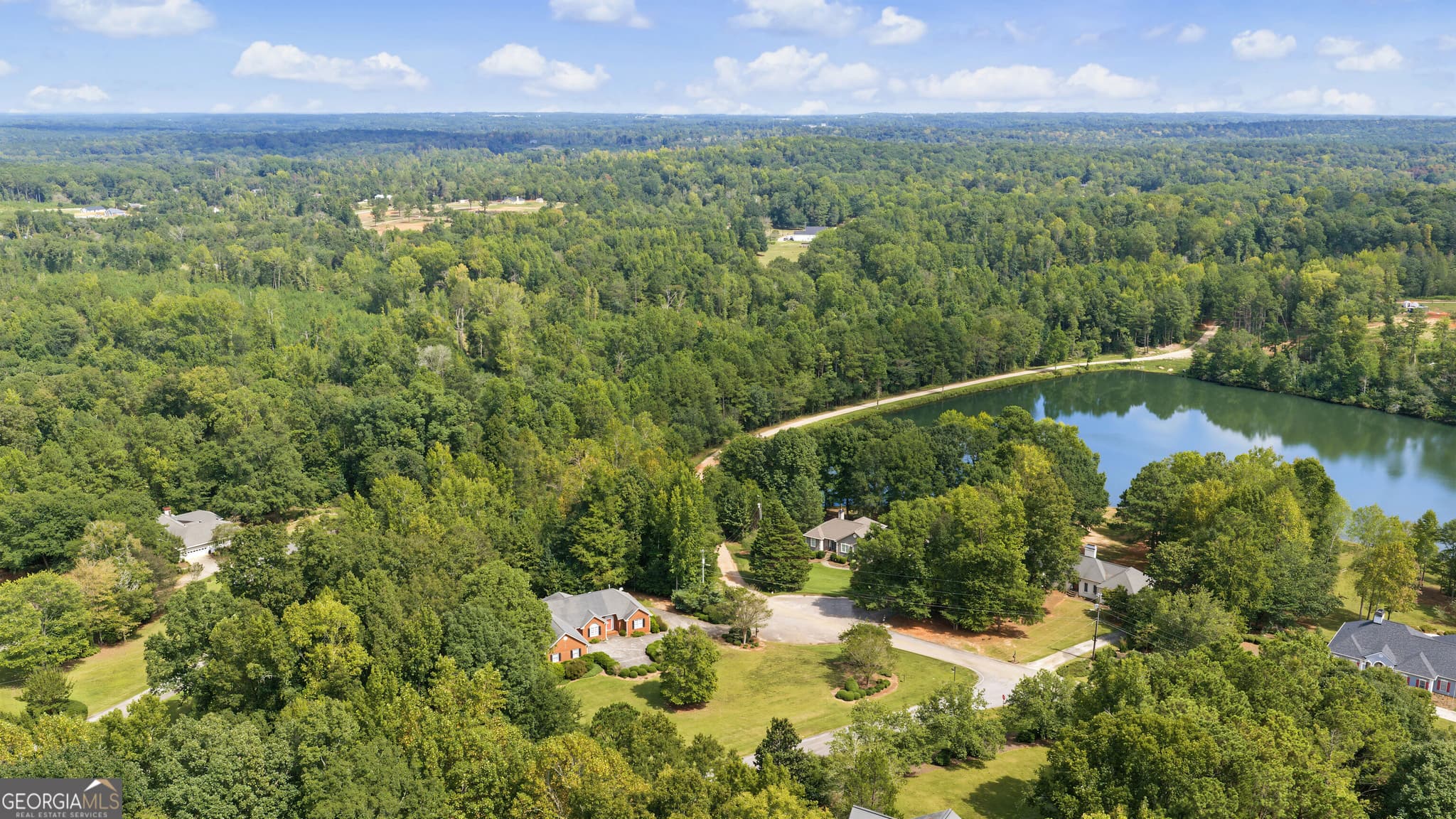 4 bedroom, 3 bathroom, 4,660 sq ft single family residence for sale at 127 Agape Street, Williamson, GA 30292 — photo 4