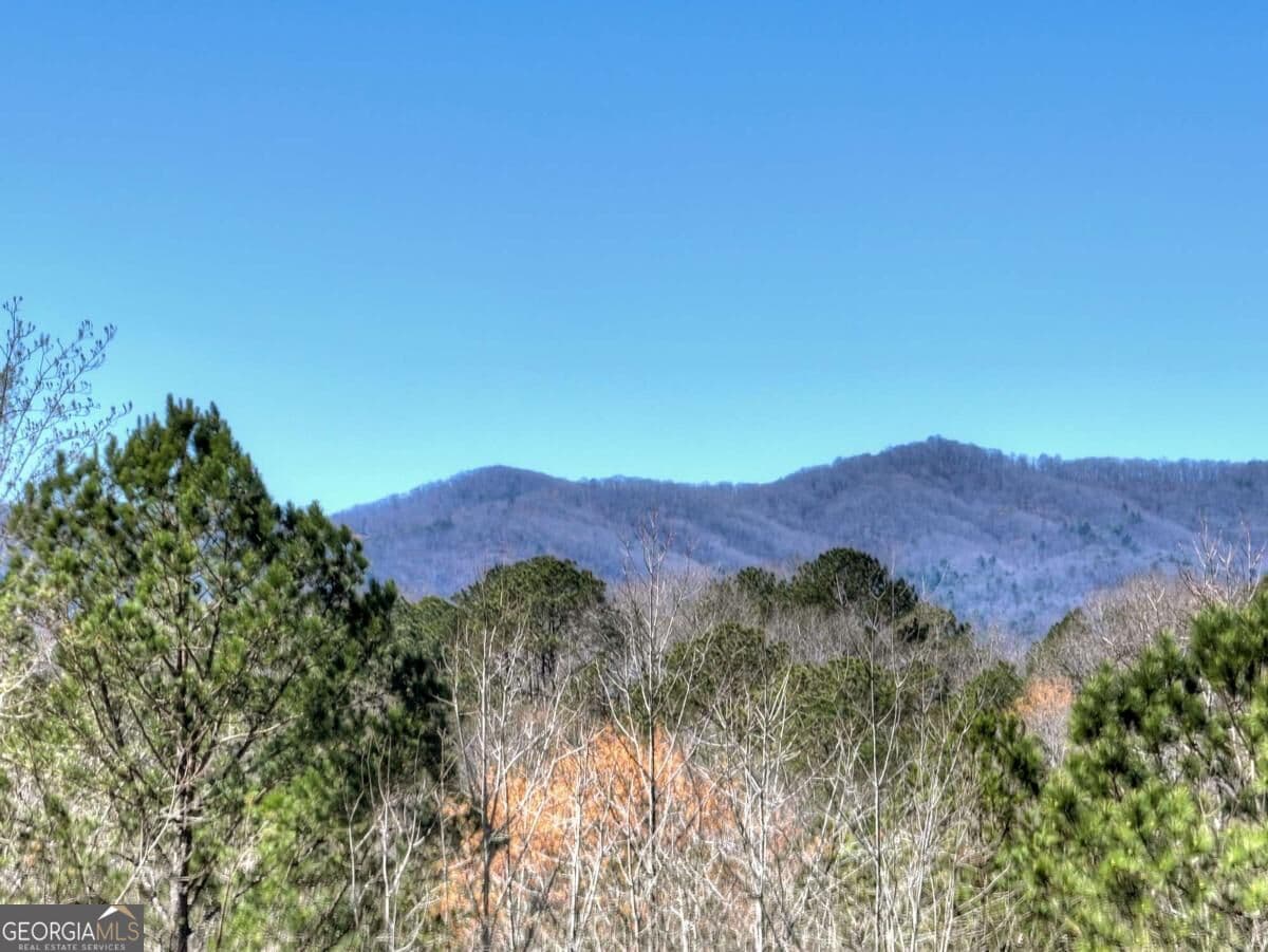 5 bedroom, 3.5 bathroom, 3,609 sq ft single family residence for sale at 229 Crossroads Church Road, Ellijay, GA 30540 — photo 3