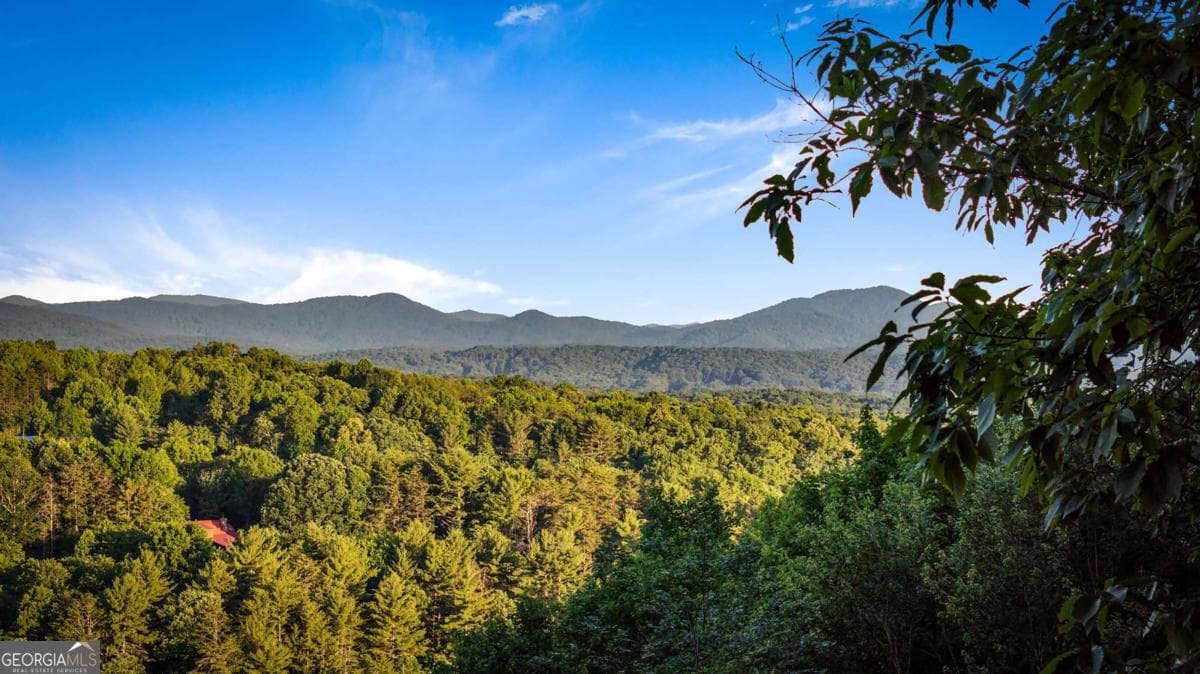 2 bedroom, 2 bathroom, 2,346 sq ft cabin,single family residence for sale at 1289 My Mountain Road, Morganton, GA 30560 — photo 6