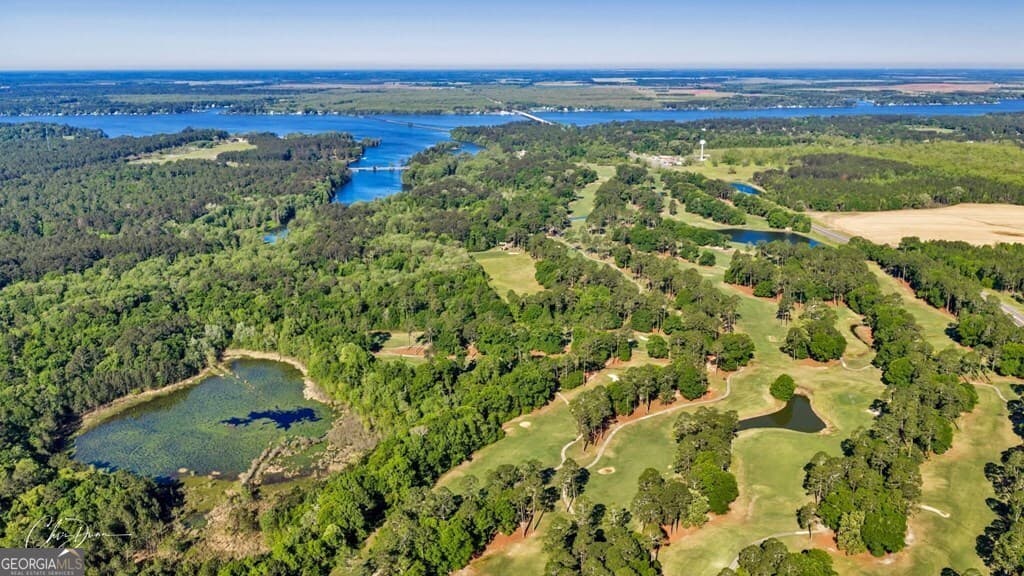 unimproved land for sale at 278 Swann Drive, Cordele, GA 31015 — photo 7